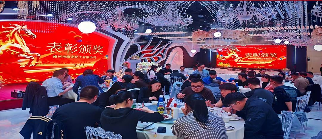 騏驥開(kāi)道，奮進(jìn)新篇 | 海龍化工2025年終工作總結(jié)表彰暨團(tuán)年晚宴圓滿(mǎn)落幕